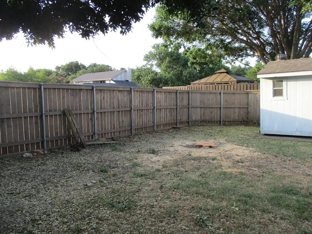 Cleared yard after professional tree removal in Dagus Mines